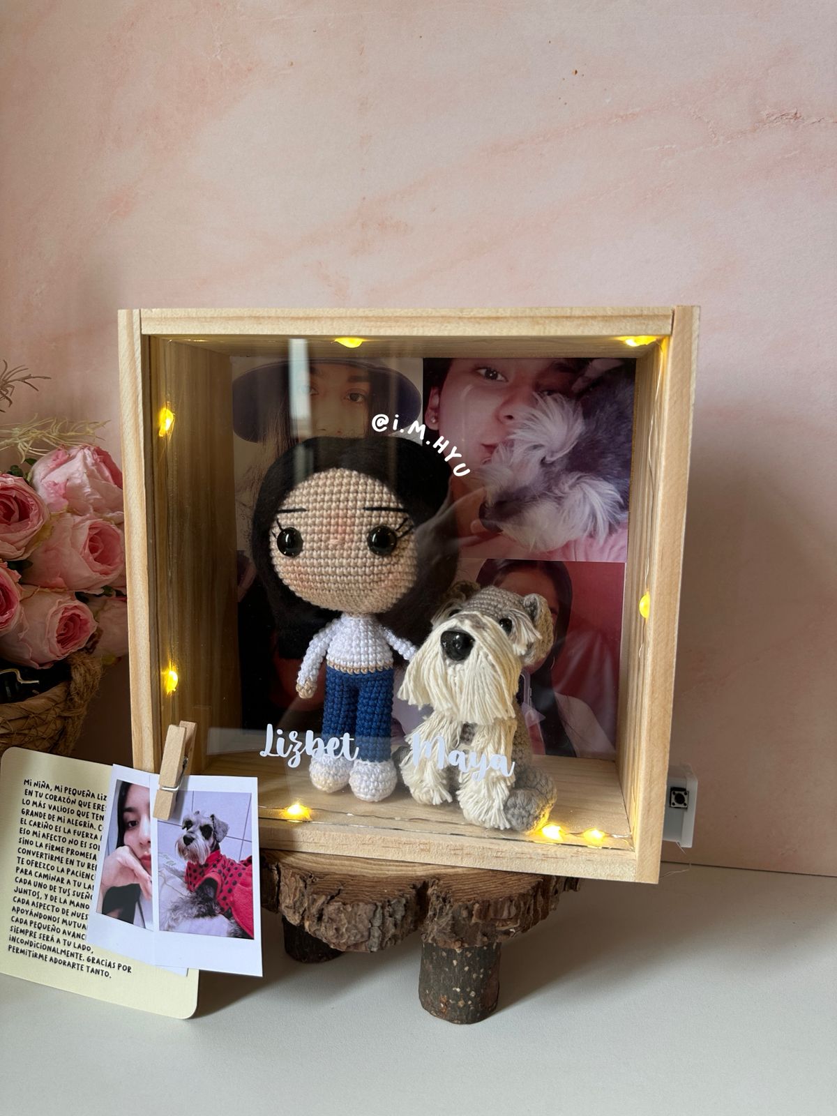 FUNKO + MASCOTA EN CUADRO DE PINO