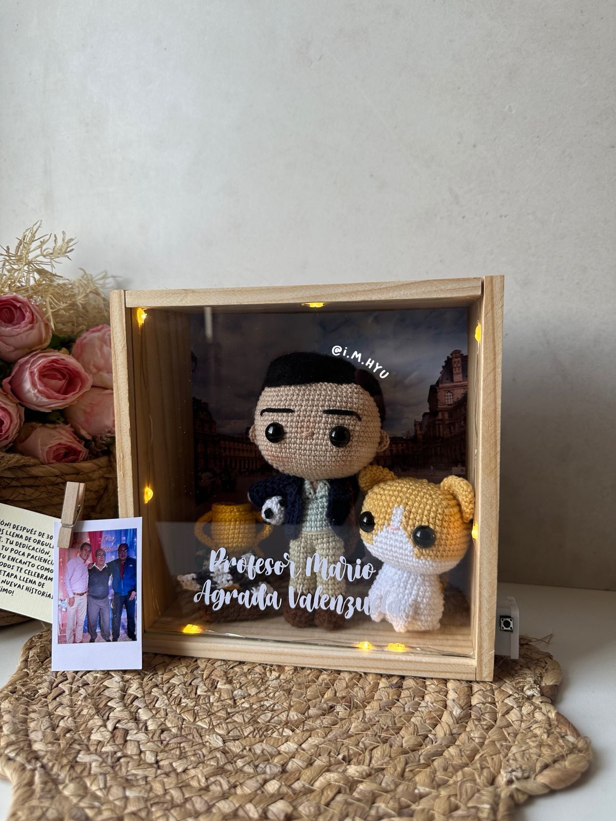 FUNKO + MASCOTA EN CUADRO DE PINO