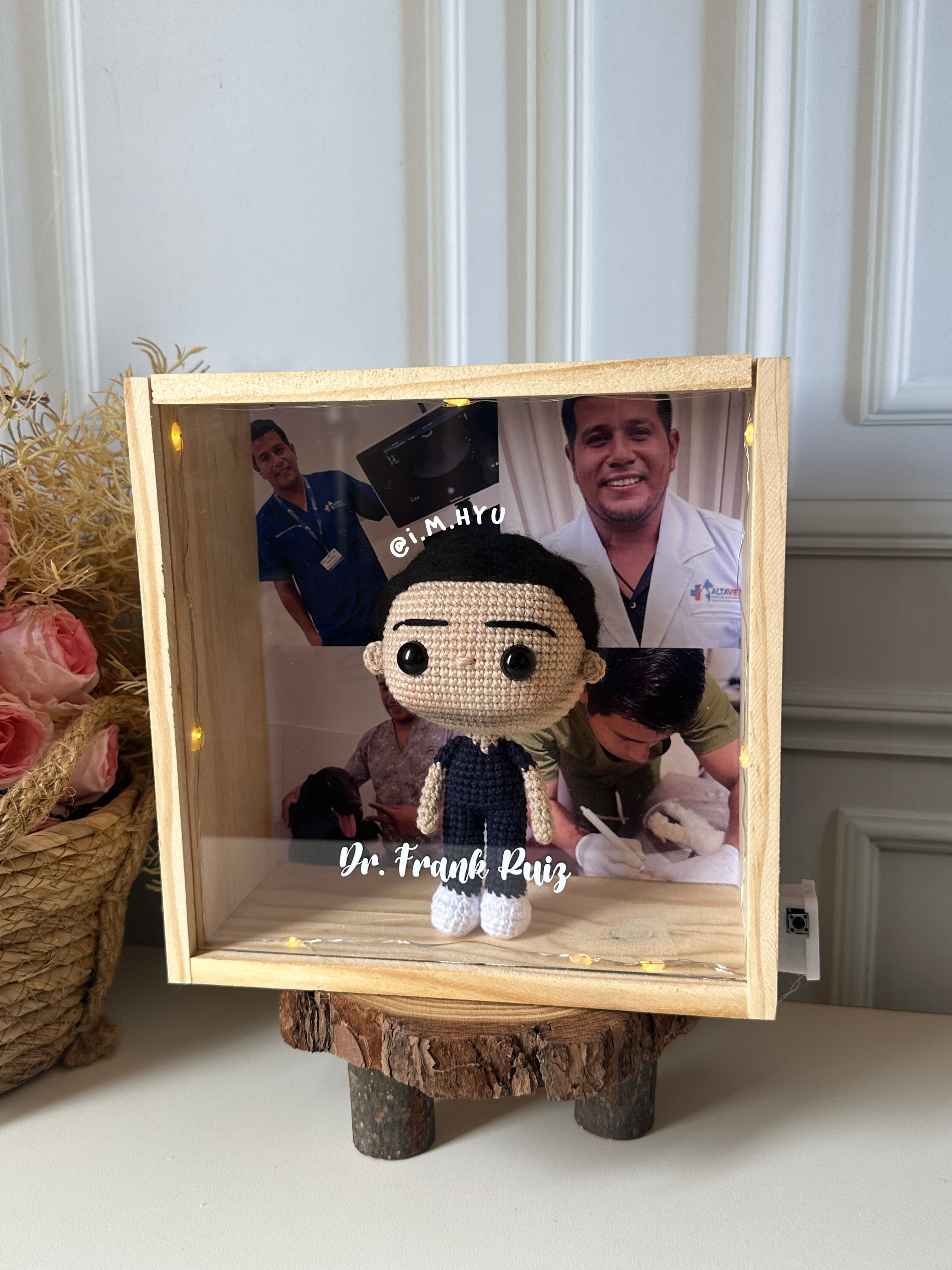 DOCTOR/A EN CUADRO DE PINO